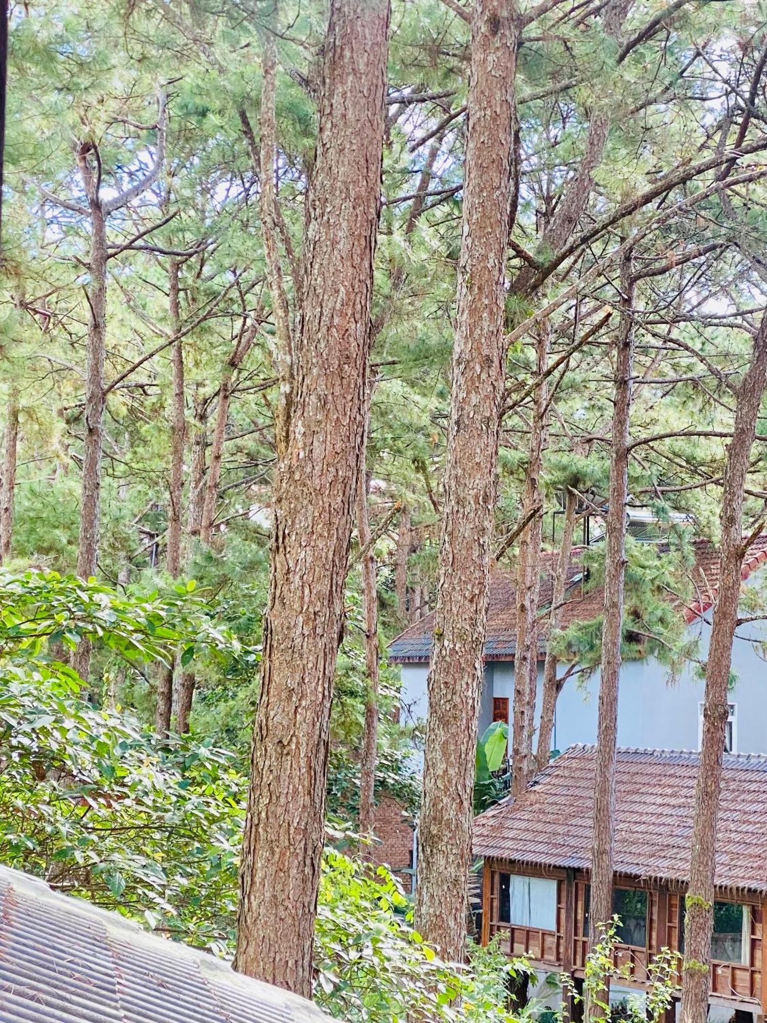 Tron Homestay Kon Von Kla Exteriör bild