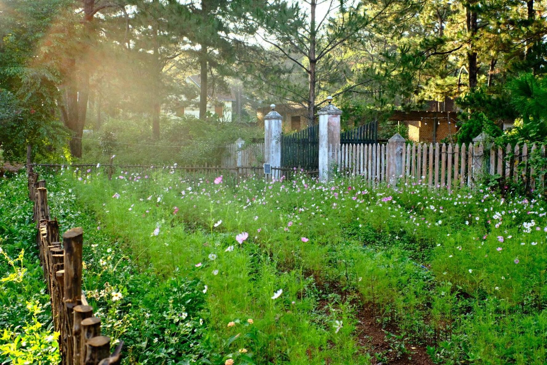 Tron Homestay Kon Von Kla Exteriör bild